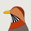 Plains-wanderer - Image 3