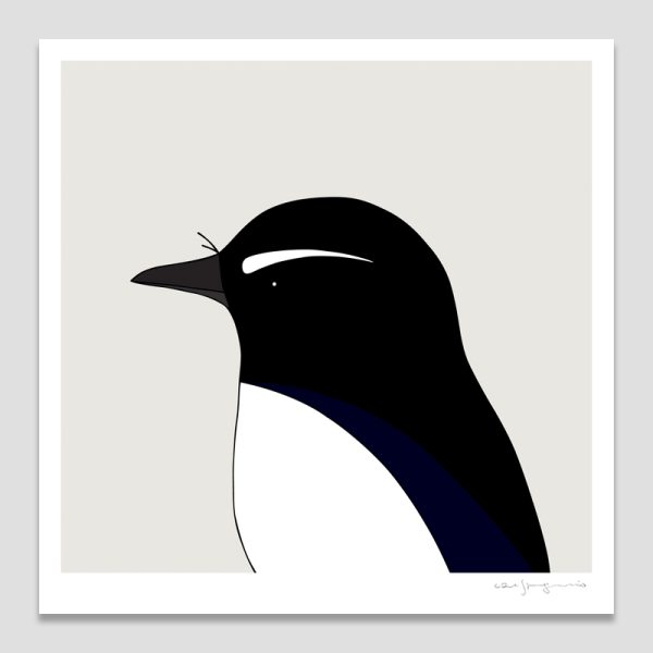 Willie Wagtail