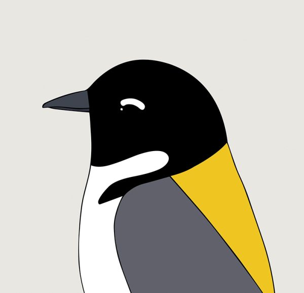 Black-headed Honeyeater - Image 3