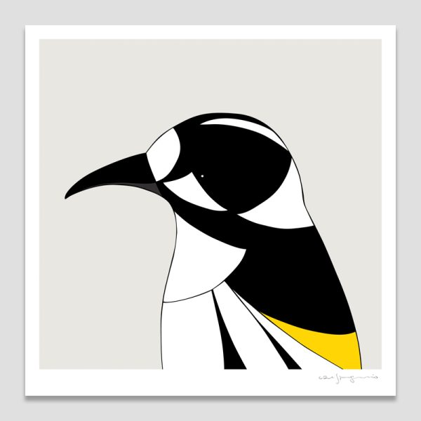 New Holland Honeyeater