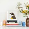 Yellow-faced Honeyeater - Image 2