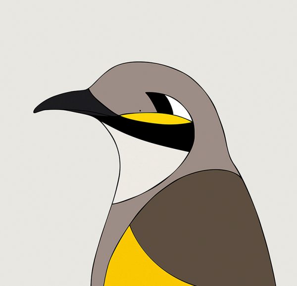Yellow-faced Honeyeater - Image 3