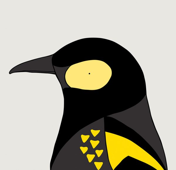 Regent Honeyeater - Image 3