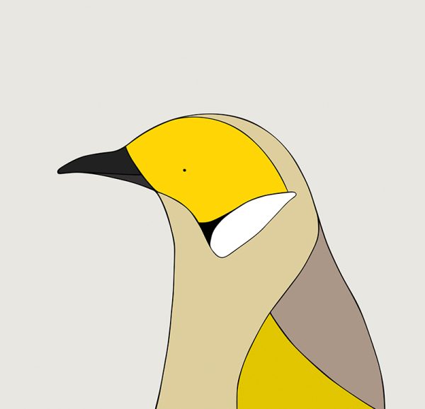 White-plumed Honeyeater - Image 3
