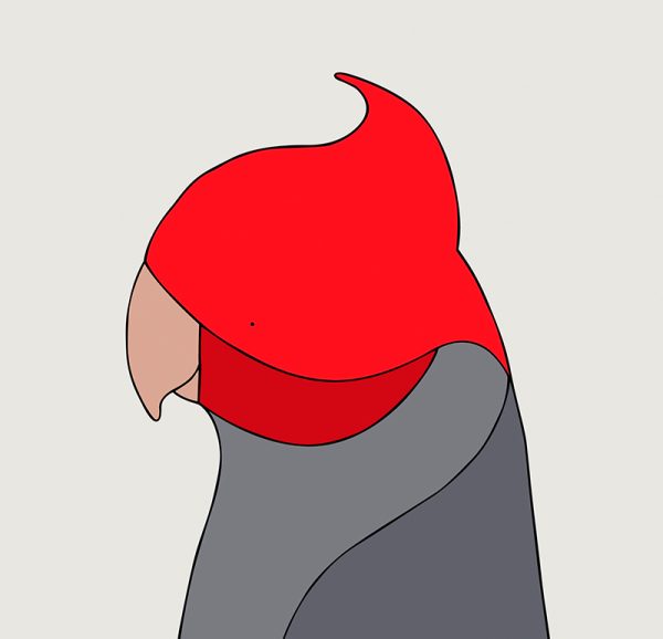 Gang-gang Cockatoo (male) - Image 3