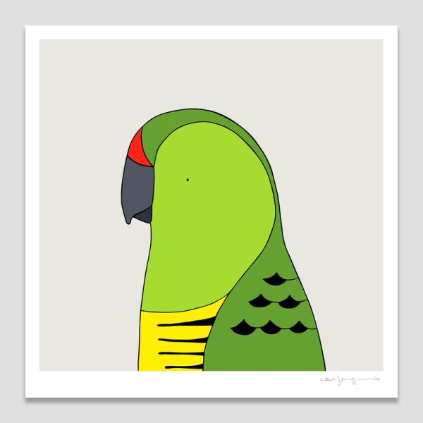Eastern Ground Parrot