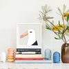 Black-browed Albatross - Image 2