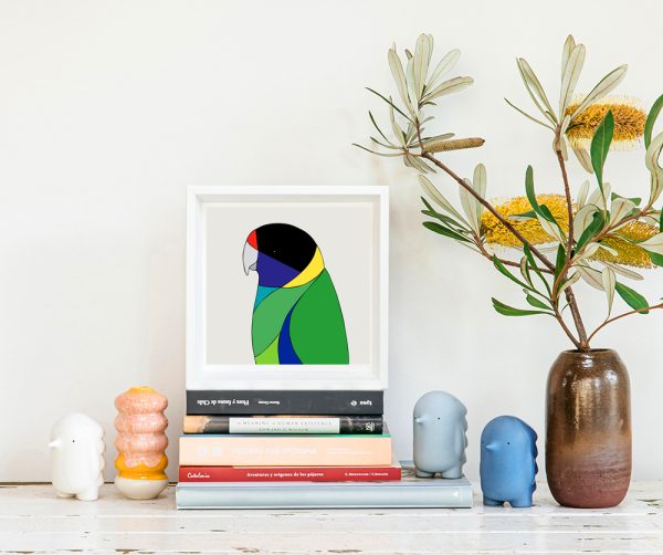 Australian Ringneck - Image 2