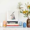 Crested Pigeon - Image 2