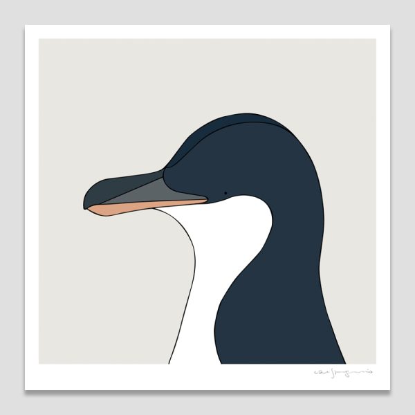 Little Penguin