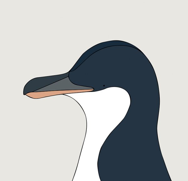 Little Penguin - Image 3