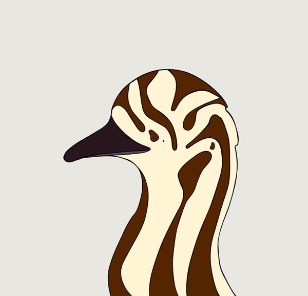 Baby Emu - Image 3