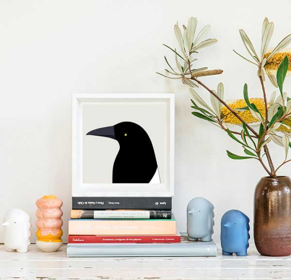 Pied Currawong - Image 2