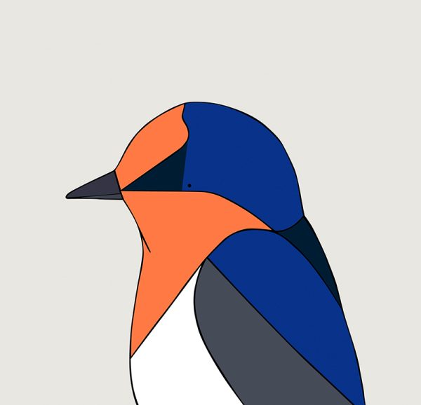 Welcome Swallow - Image 3