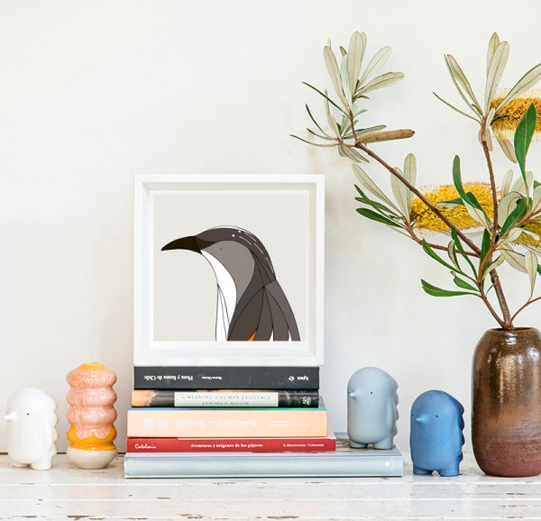 Little Wattlebird - Image 2