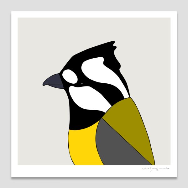 Crested Shrike-tit