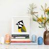 Crested Shrike-tit - Image 2