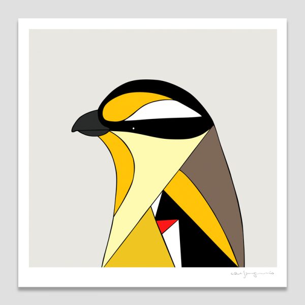 Striated Pardalote