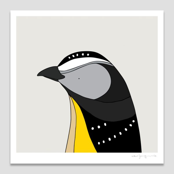 Spotted Pardalote