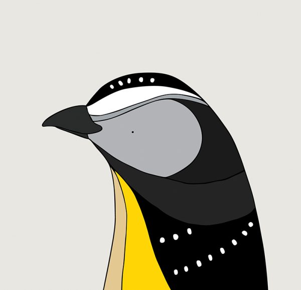 Spotted Pardalote - Image 3