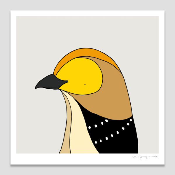 Forty-spotted Pardalote