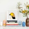 Forty-spotted Pardalote - Image 2