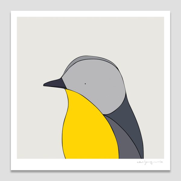 Eastern Yellow Robin