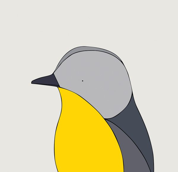 Eastern Yellow Robin - Image 3