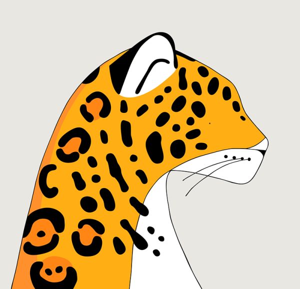 Jaguar - Image 3