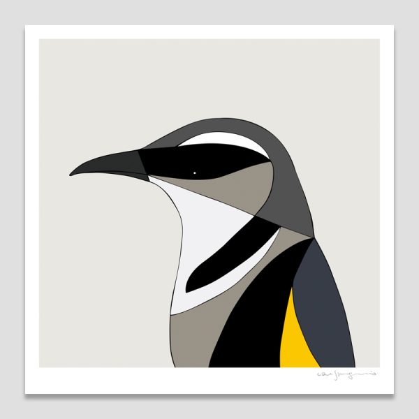 Crescent Honeyeater