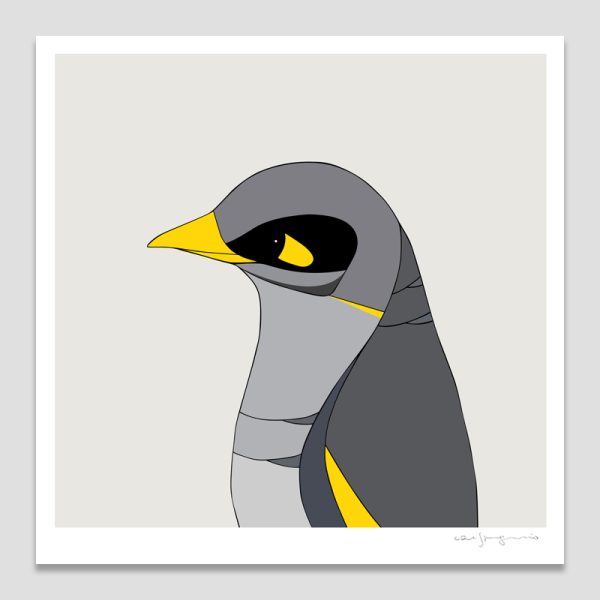 Black-eared Miner