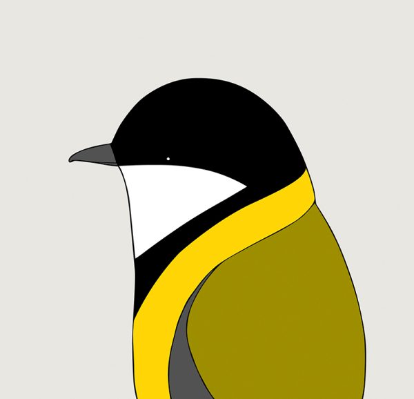 Golden Whistler - Image 3
