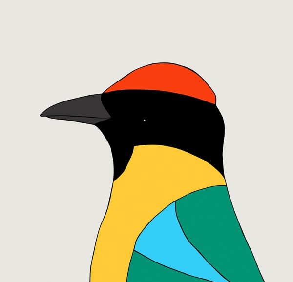 Noisy Pitta - Image 3