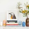 Yellow Wattlebird - Image 2