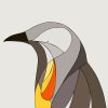 Yellow Wattlebird - Image 3