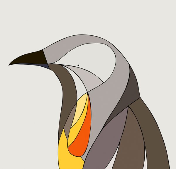 Yellow Wattlebird - Image 3