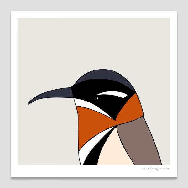 Western Spinebill