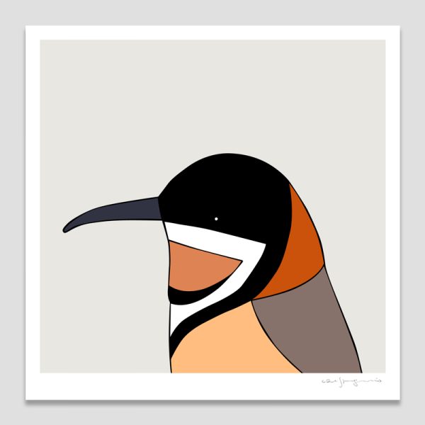 Eastern Spinebill