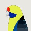 Green Rosella - Image 3