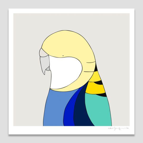 Pale-headed Rosella
