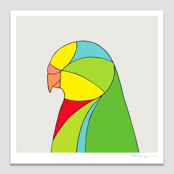 Superb Parrot