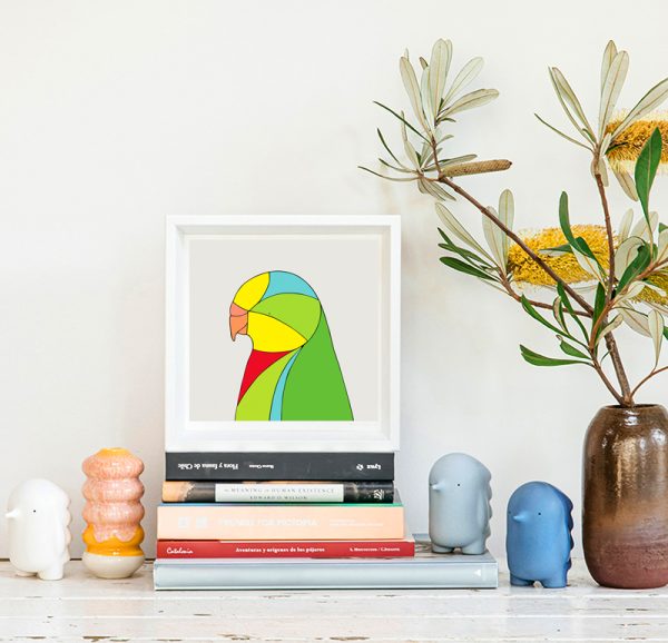 Superb Parrot - Image 2