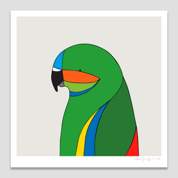 Coxen's Fig-Parrot
