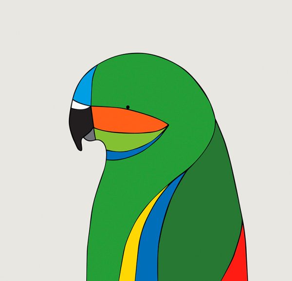 Coxen's Fig-Parrot - Image 3