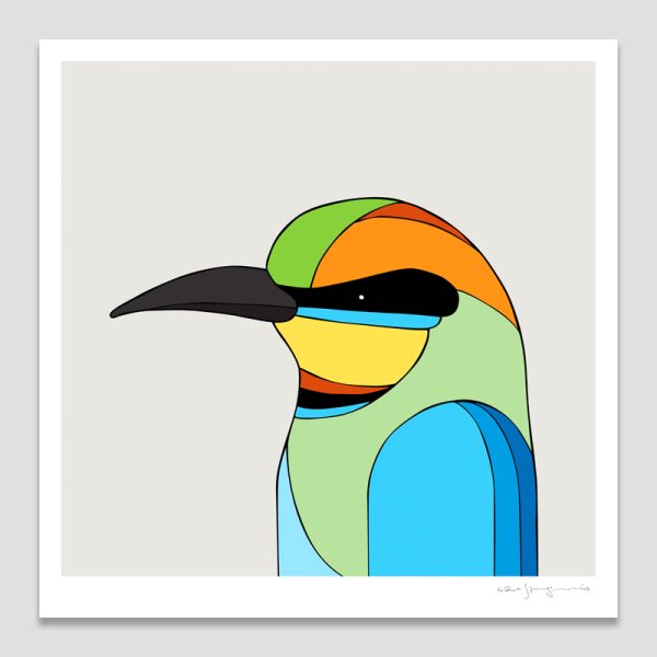 Rainbow Bee-eater