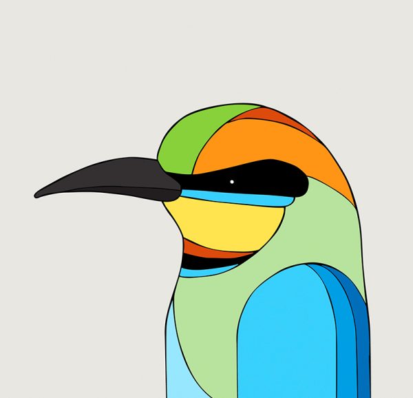 Rainbow Bee-eater - Image 3