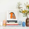 European Robin - Image 2