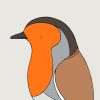 European Robin - Image 3