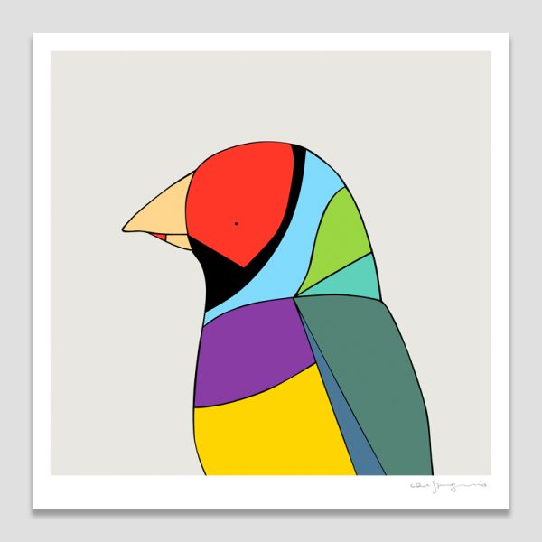 Gouldian Finch