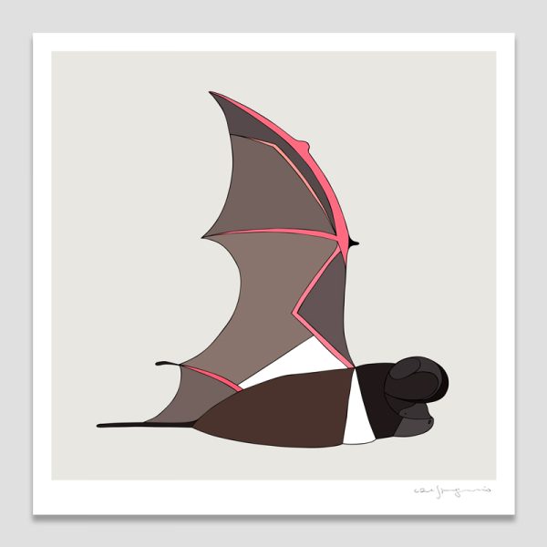 White-striped Freetail Bat
